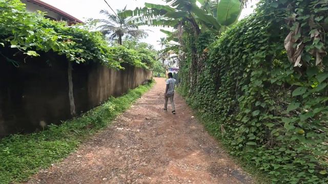 Places to visit in Mirissa |Thalpe beach| Mirissa beach|Coconut Tree Hill view| Srilanka Vlog - 5 смотреть онлайн