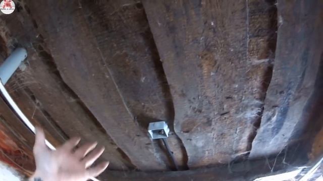 В своём свинарнике я же электрик, бетонщик, плотник, сантехник иногда и даже хряк!!