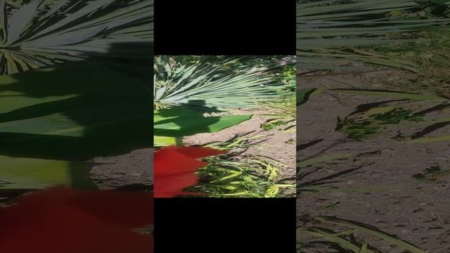 КАНЫ 14 ОКТЯБРЯ КРЫМ смотреть онлайн