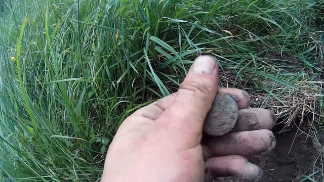 поиск монет с металлоискателем.ТАЙНА ЗАБРОШЕННОЙ ПРИСТАНИ.опять берег реки радует находками смотреть онлайн