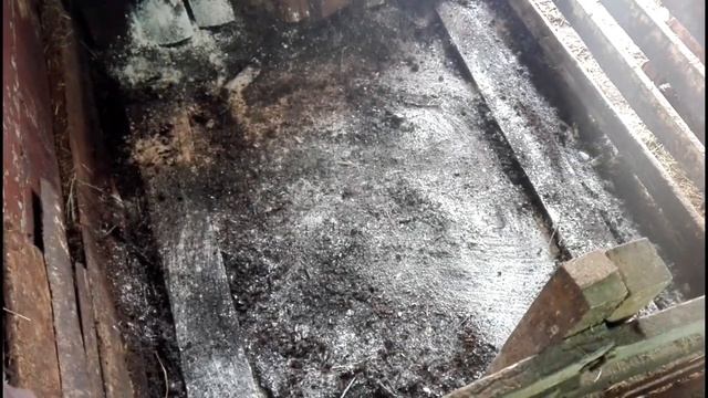 Идеальный пол в загоне для свиней/ Деревянный настил смотреть онлайн