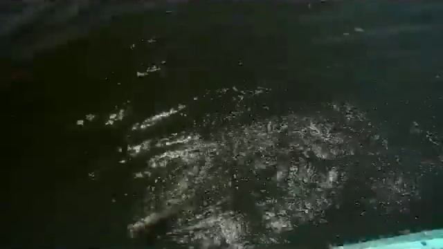 Ловля крупной щуки и окуня в Сызрани смотреть онлайн