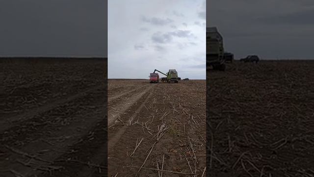 16 октября 2023 г. смотреть онлайн