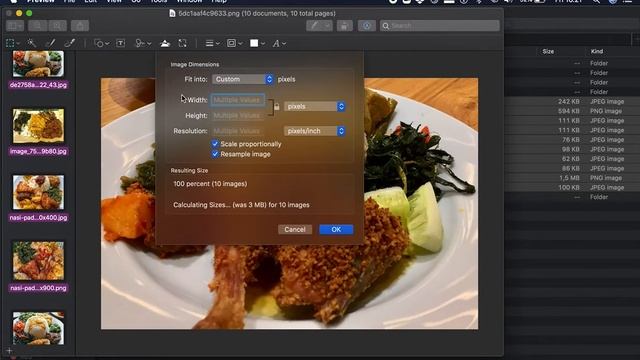 How to resize multiple images on a macOS at once using Preview смотреть онлайн