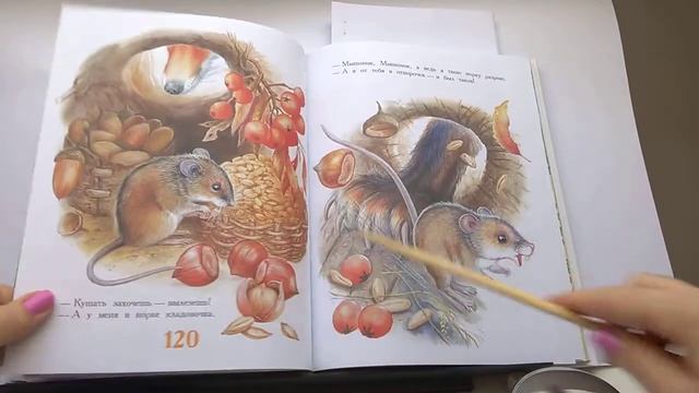 62 Лис и мышонок В. Бианки100 Сказок, сказки любимых писателейПочитай-ка, читаем детские книги. смотреть онлайн