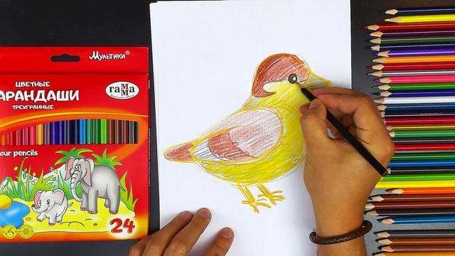 Урок рисования ВОРОБЕЙ цветные карандаши РыбаКит смотреть онлайн