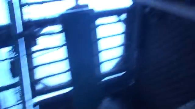 Лечим голубей от сальмонеллы и хрипоты, по наслышке. смотреть онлайн