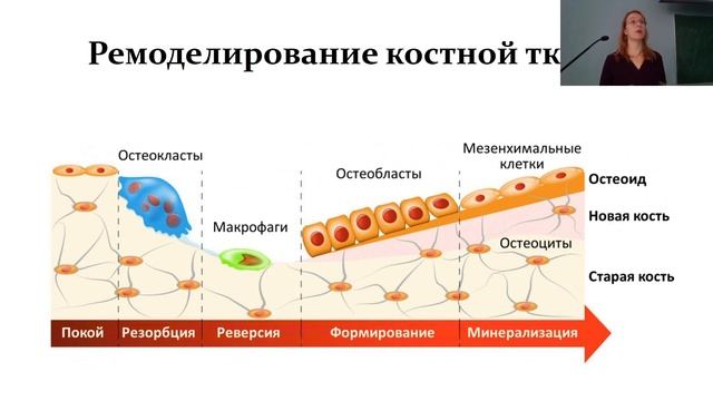 Химия зельеварения из вселенной Гарри Поттера смотреть онлайн