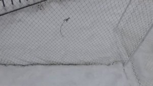 Правильно сделать и изготовить, Рыболовная мережа -  бочка и одно крыло. Мережа для рыбалки - класс