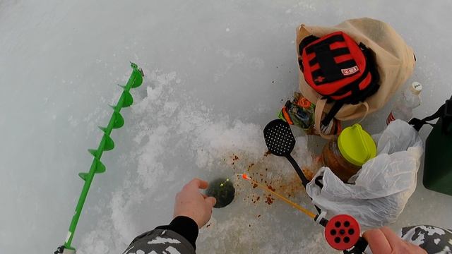 Рыбалка 21.01.2023. Озеро Сенеж. Московская область. DIGMA DiCam 850, 4K, 60 Fps.