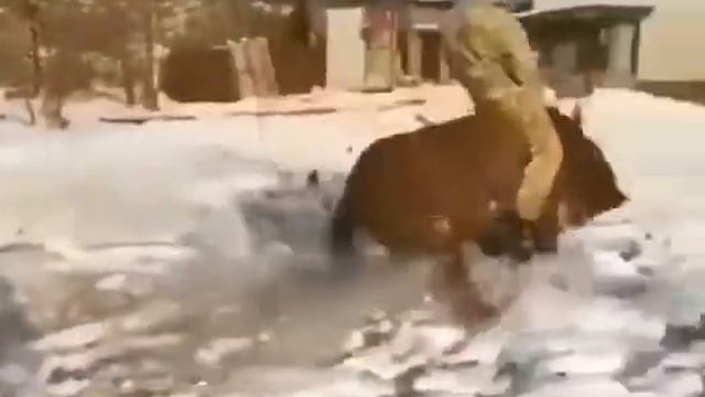 КАЗАХ ОБУЗДАЛ КОНЯ. СМЕШНОЕ ВИДЕО смотреть онлайн