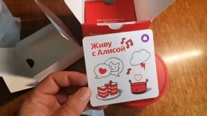 Распаковка — Умная колонка Яндекс Станция Лайт YNDX-00025R (чили)