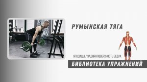 Румынская тяга штанги. Техника выполнения. Упражнение на заднюю поверхность бедра и ягодицы.