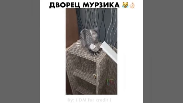 ХОЗЯИН ДВОРЦА ??⬛ смотреть онлайн