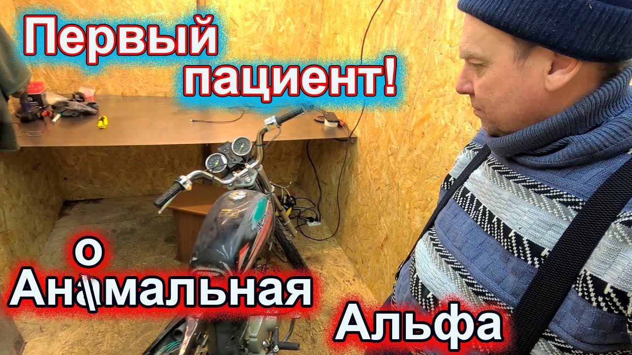 Первый пациент Аномальная Альфа 75 куб. смотреть онлайн