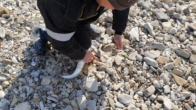 Ловим Сочинскую форель! Рыбалка на форель!!!!!! смотреть онлайн