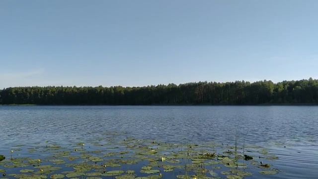 ПОХОД НА ОЗЕРО АФАНАСЬЕВСКОЕ (ШПАЛ-ЗАВОД)/ РЫБАЛКА НА ОЗЕРЕ #рыбалка смотреть онлайн