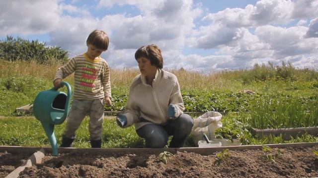 Как посадить клубнику в августе легко и правильно - очень важные моменты!Совет от Фермачей в деревн смотреть онлайн