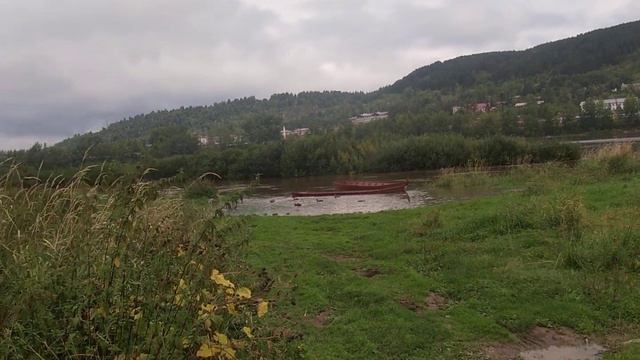 Утки на речке смотреть онлайн