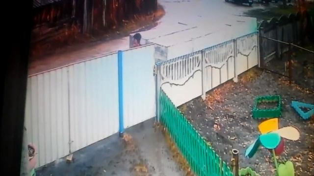 1. Я всегда с собой беру видеокамеру смотреть онлайн