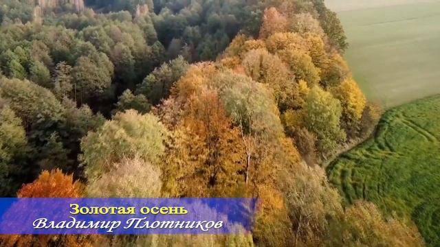 Золотая осень. Музыка Владимира Плотникова под Relaxing Chilout Rumba Flamenco Guitar Backing Track смотреть онлайн
