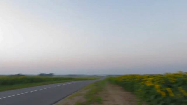 ЭТО ЗНАК ║ Рассвет В Поле Подсолнухов ? ║ Идея Для Фото ║ Elizaveta Vlasova смотреть онлайн