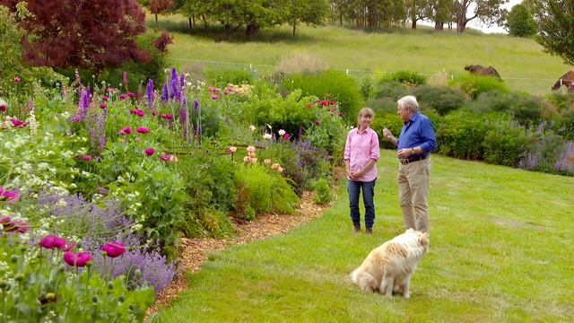 Garden Walkaround - Hillandale Yetholme | GARDEN | Great Home Ideas смотреть онлайн