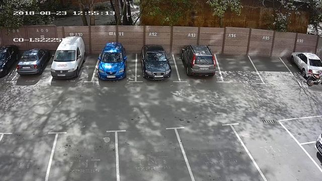 Купольная IP-камера CO-LD2225P. Улица день. смотреть онлайн