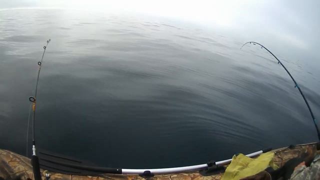 Море сегодня раздавало рыбу! Клевало не плохо, но.. смотреть онлайн