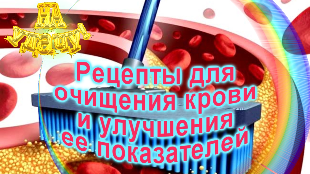 Рецепты для очищения крови и улучшения ее показателей смотреть онлайн