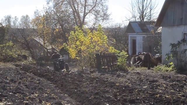 Мотоблок Зубр смотреть онлайн