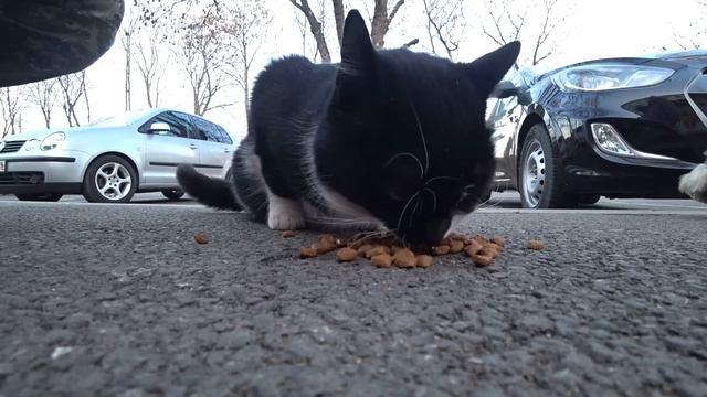 Если бы так каждый делал... смотреть онлайн