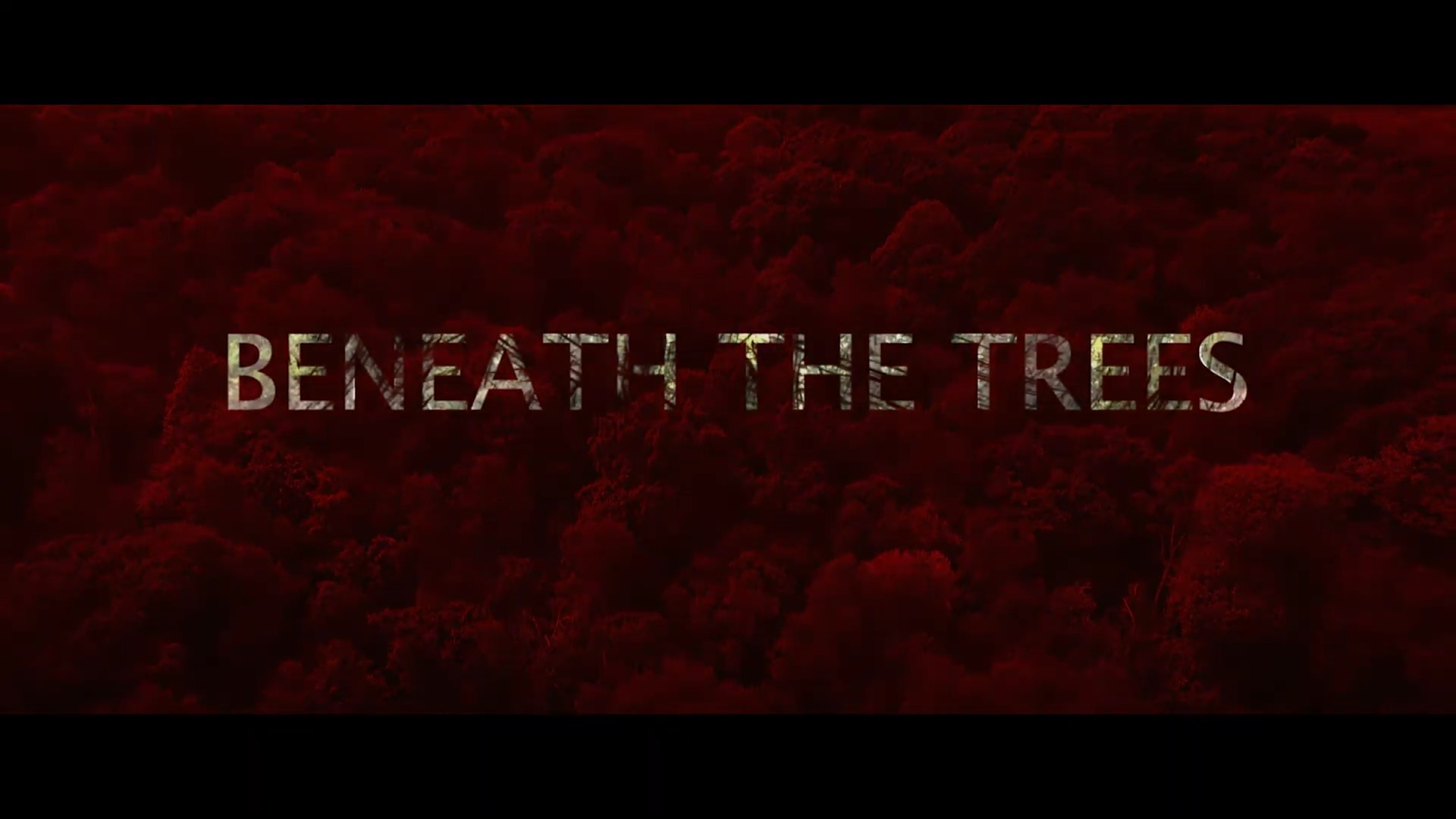 Под деревьями / Beneath The Trees (2019) Trailer смотреть онлайн
