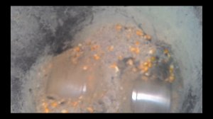 Как перемешать комбикорм из цельного зерна для грануляции! Whole grain for granulation!