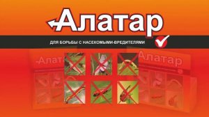 Алатар — двойной удар 2015