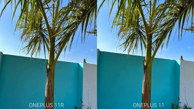 OnePlus 11R Vs OnePlus 11 Camera Test Comparison