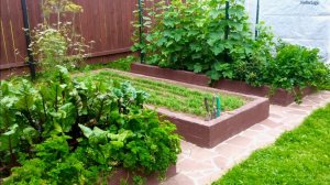 ГРЯДКИ из БЕТОНА и ДЕРЕВА. НАШ ОГОРОД. Дачный креатив.