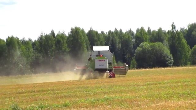 Колхозная страда смотреть онлайн