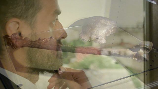 История древнего мира. Первобытный человек. 5 класс