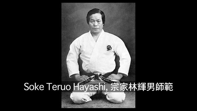 Sarasota Karate Club смотреть онлайн