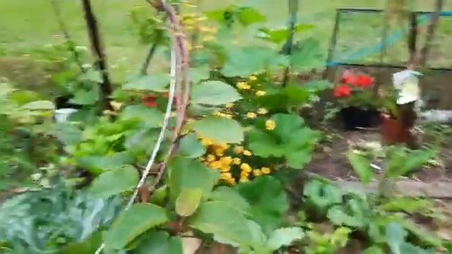Время поговорить наконец 🤣, под проливным дождём, разумеется, ну а иначе просто некогда 😂 смотреть онлайн