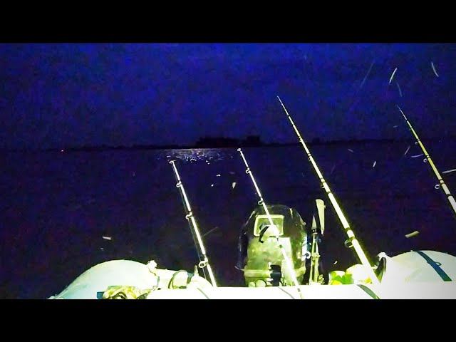 ОНИ НАС ЧУТЬ НЕ СЪЕЛИ! ШАКАЛЫ ВОЮТ! РЫБАЛКА НА СОМА И САЗАНА смотреть онлайн