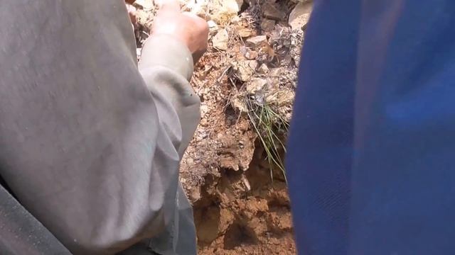 ЗА АМЕТИСТАМИ смотреть онлайн