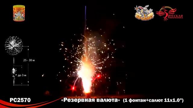Фейерверк + фонтан РС170 / РС2570 Резервная валюта (1" х 12) смотреть онлайн