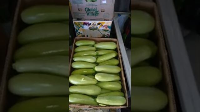 Сборы,кабачок"Арал". смотреть онлайн