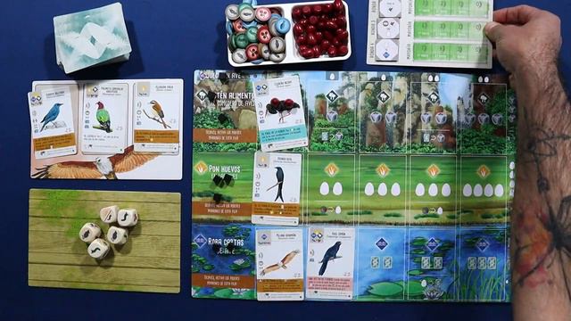 WINGSPAN ASIA 🦚 Cómo se juega смотреть онлайн