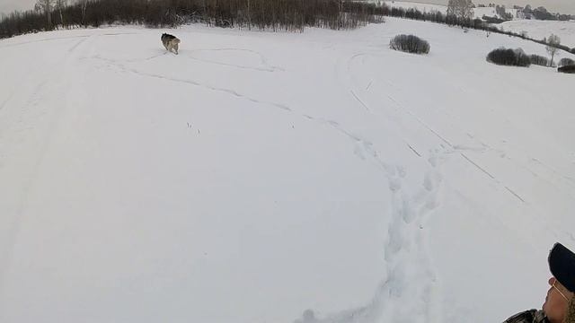 Прогулка на снегоходе.Рождество в деревне. Хаски Сэм. #снегоход,#прогулканаснегоходе,#жизньвдеревне смотреть онлайн