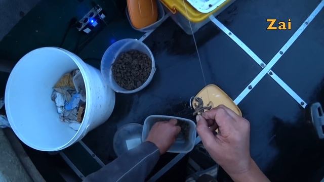 СОМ НА МЕДВЕДКУ. Подарок от подписчиков. смотреть онлайн