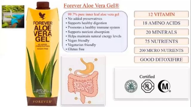 3 P KNOWLEDGE смотреть онлайн