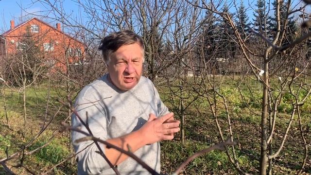 Выбор саженца. смотреть онлайн
